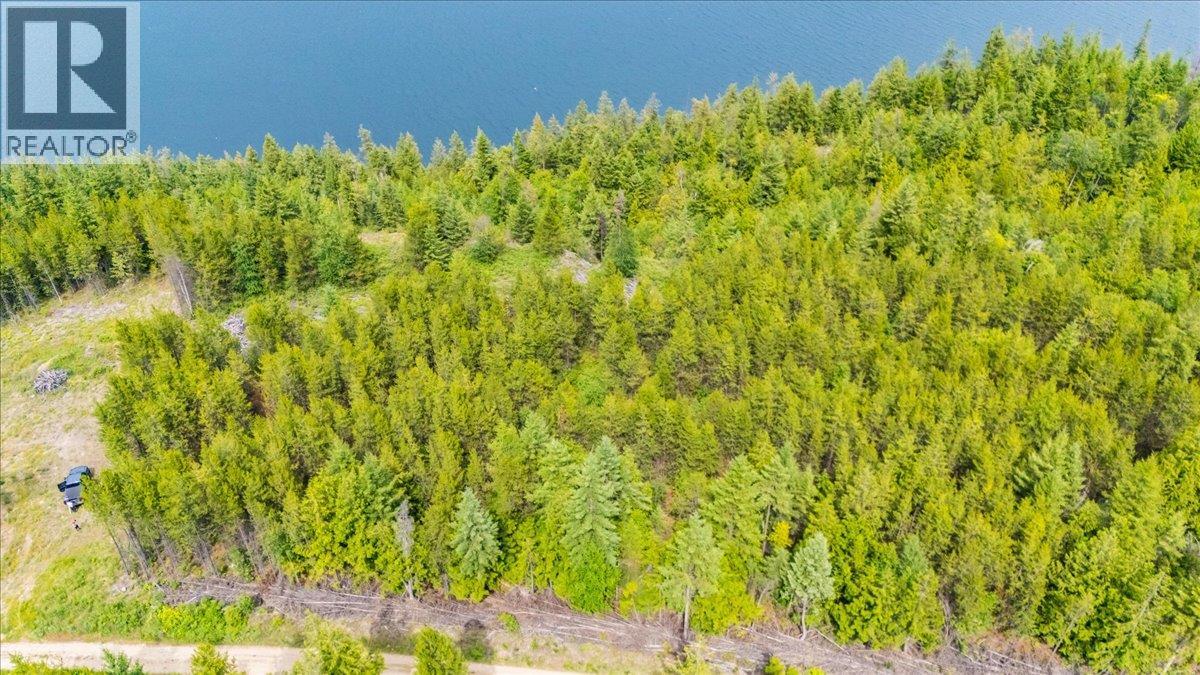 Lower Arrow Lake Lot# 5, Castlegar