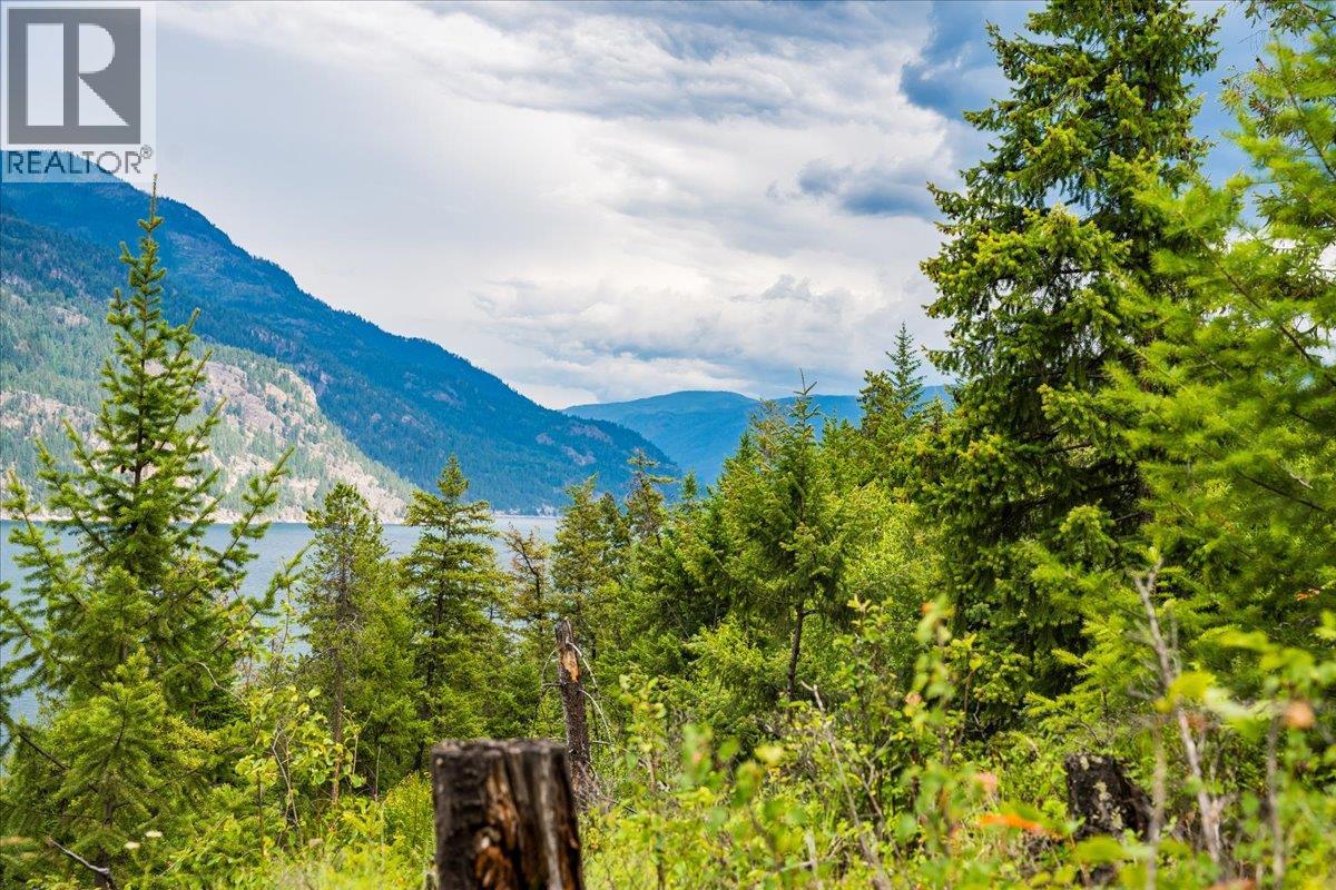 Lower Arrow Lake Lot# 5, Castlegar