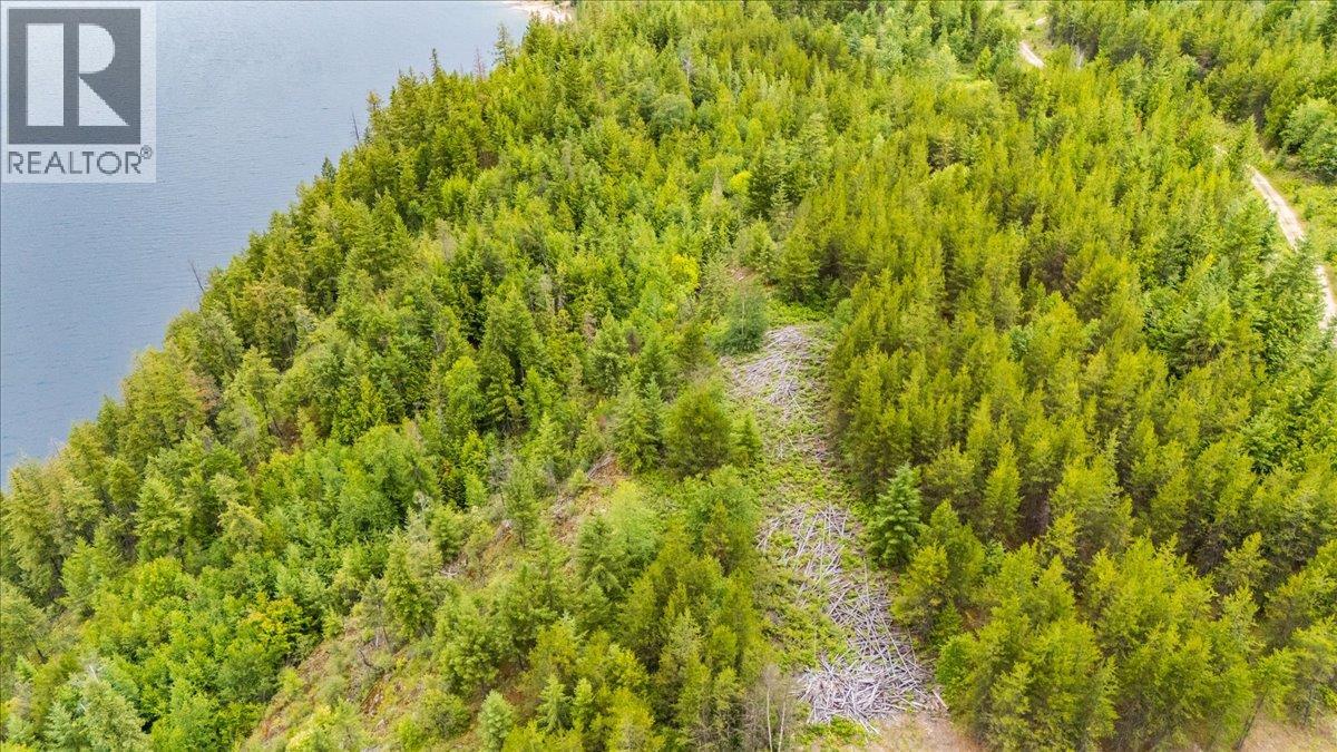 Lower Arrow Lake Lot# 5, Castlegar