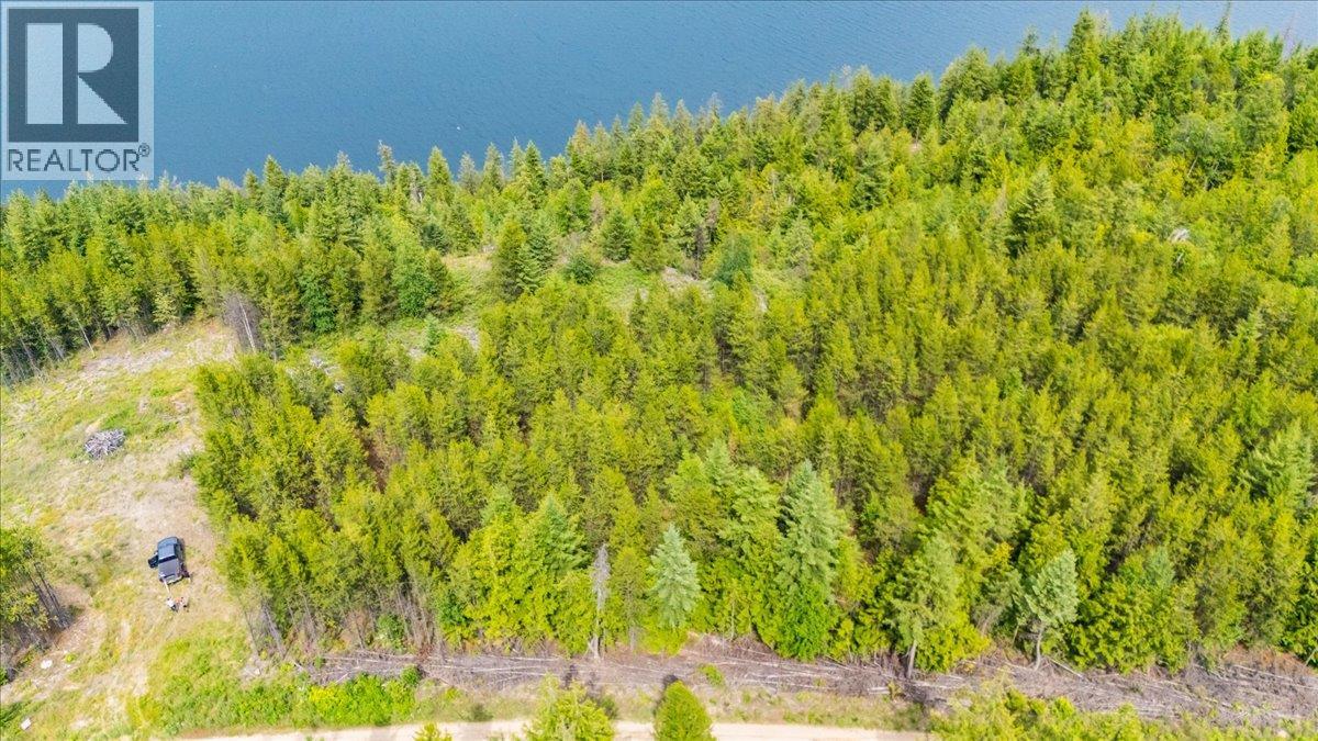 Lower Arrow Lake Lot# 5, Castlegar