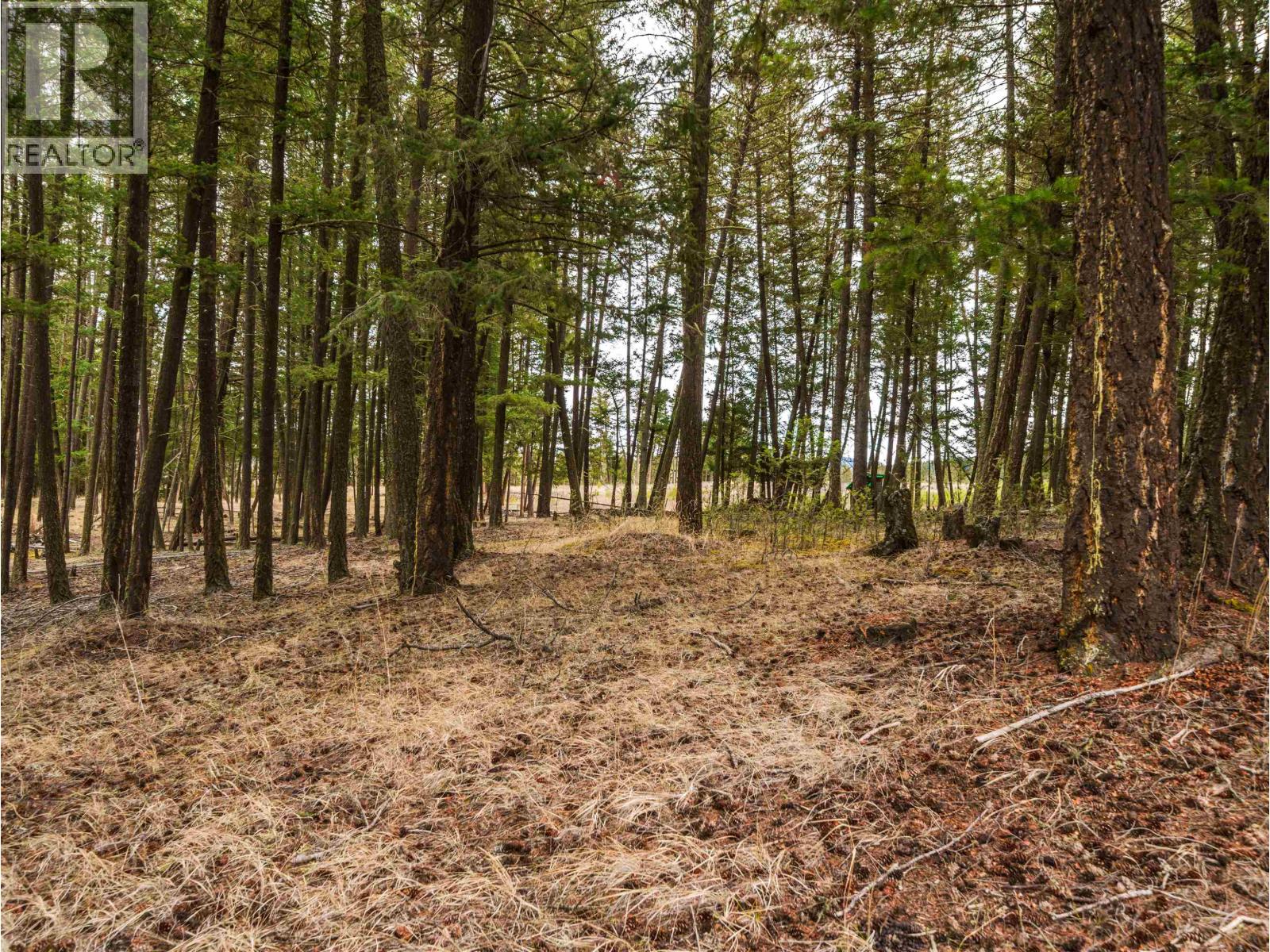 LOT 2 LAC LA HACHE STATION ROAD, Lac La Hache