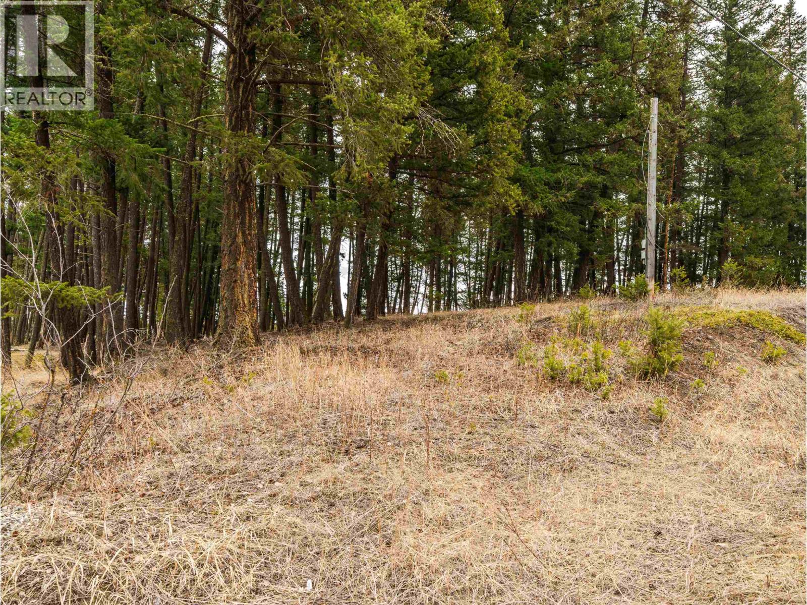 LOT 2 LAC LA HACHE STATION ROAD, Lac La Hache