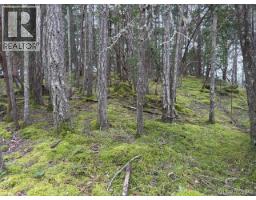 106 Halibut Hill Rd, Mudge Island, BC V0R1X6 Photo 9