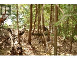 106 Halibut Hill Rd, Mudge Island, BC V0R1X6 Photo 6