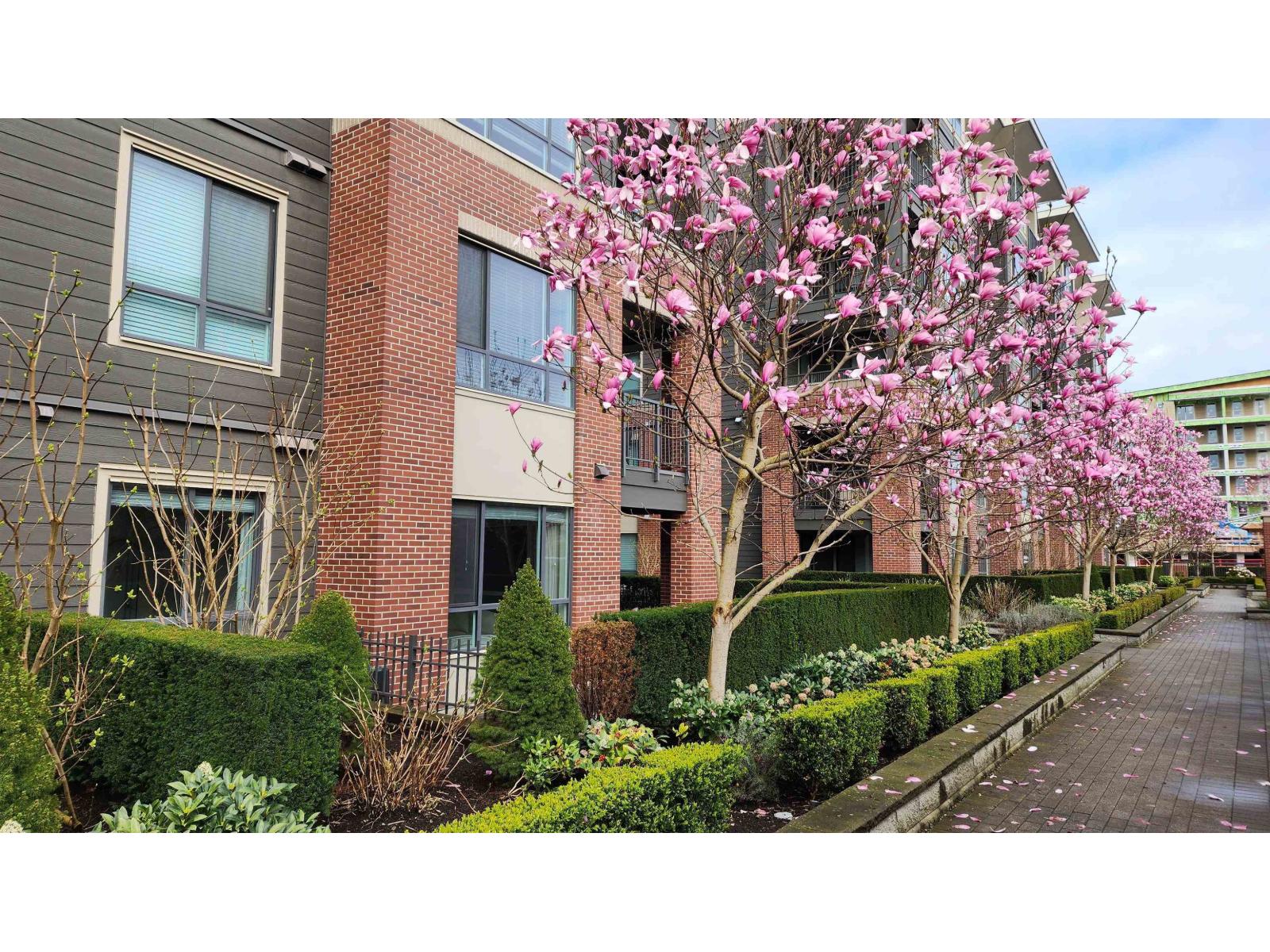 102 33540 MAYFAIR AVENUE, Abbotsford