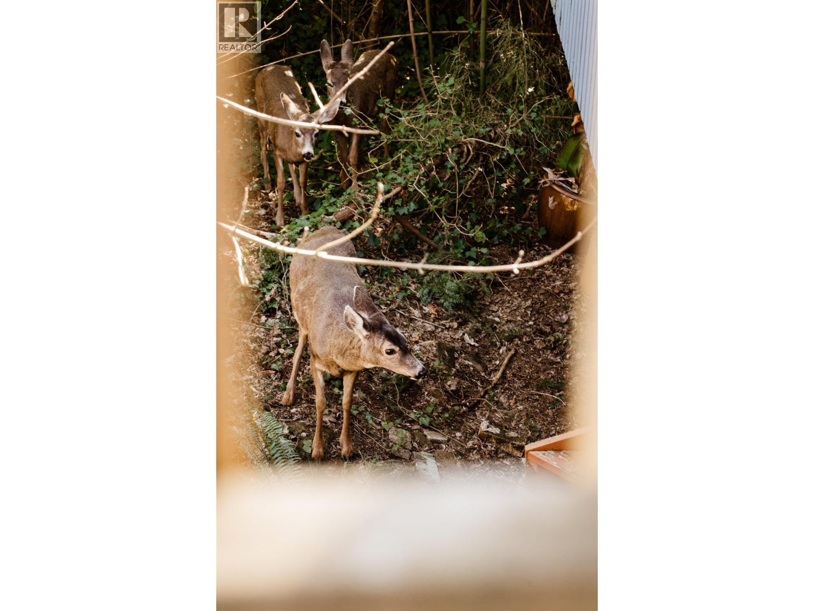 4477 STRATHCONA ROAD, North Vancouver