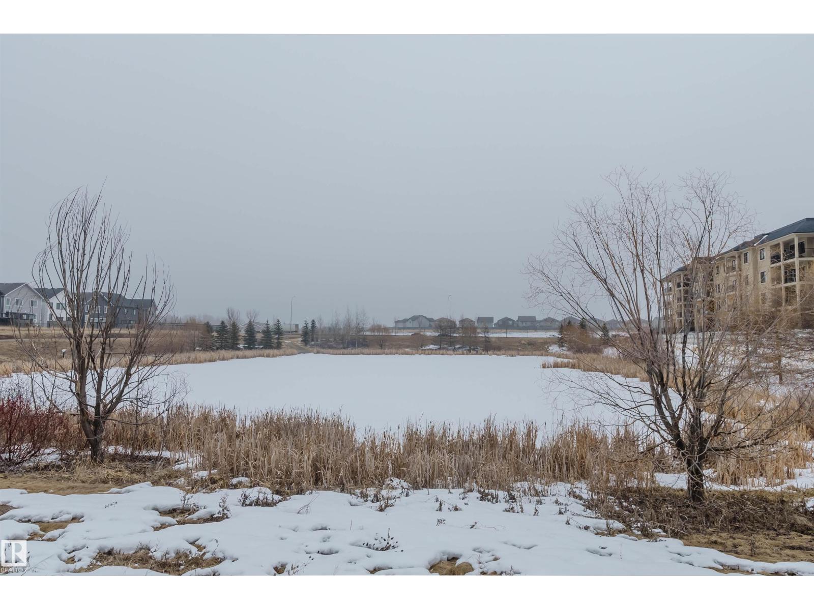 1007 173 ST SW, Edmonton