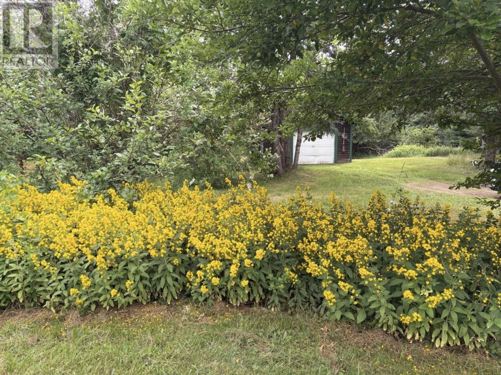 3512 EAST BIG INTERVALE RD., MARGAREE VALLEY - 8