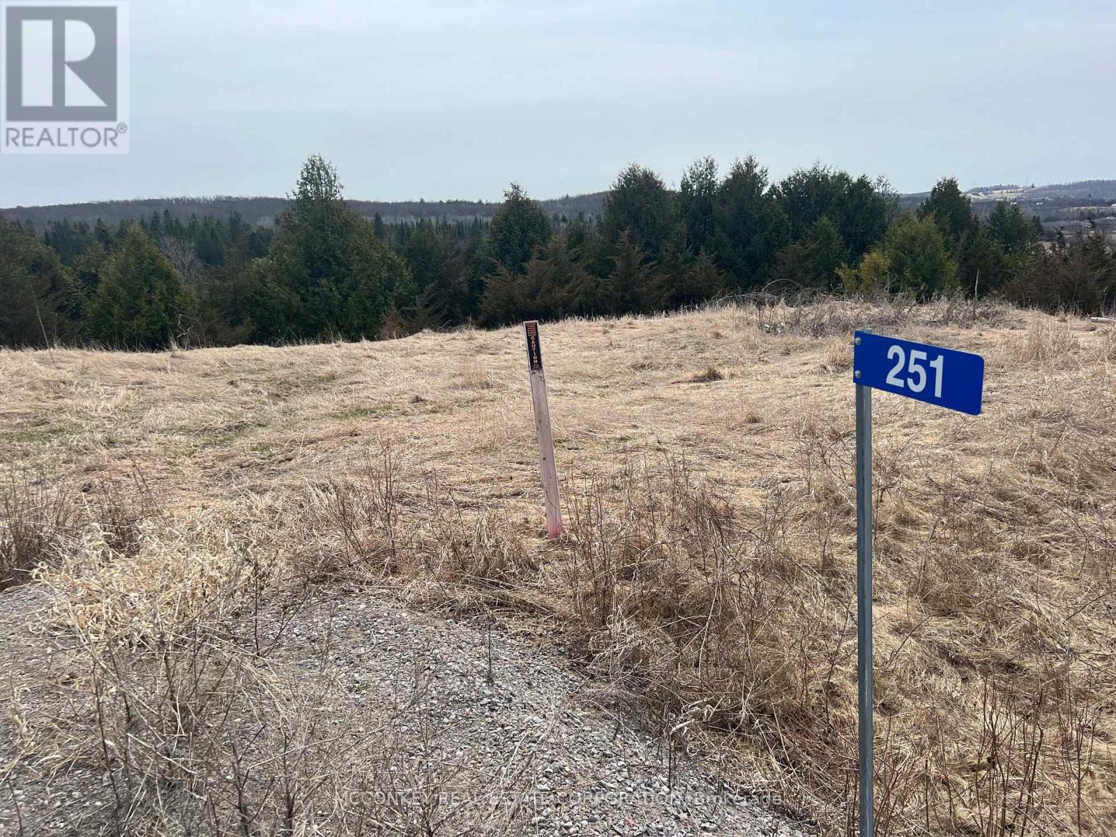 251 CONCESSION RD 13 E