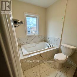 381 VANILLA TRAIL - 14
