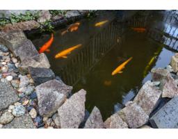 2780 St Moritz Way, Abbotsford, BC V2V3N1 Photo 39
