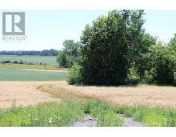 Lt15-16 County Road 1 W, Greater Napanee, ON K7R3L1 Photo 8