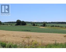 Lt15-16 County Road 1 W, Greater Napanee, ON K7R3L1 Photo 9