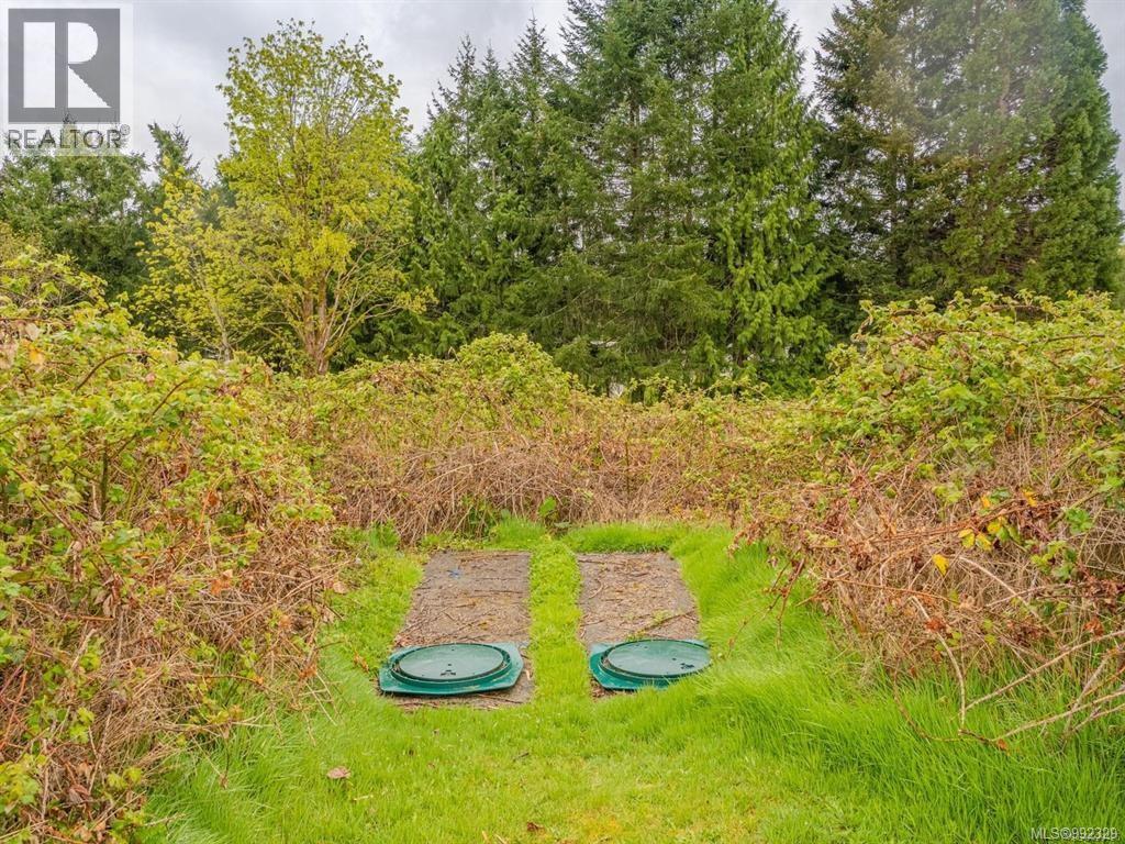 septic field and access
