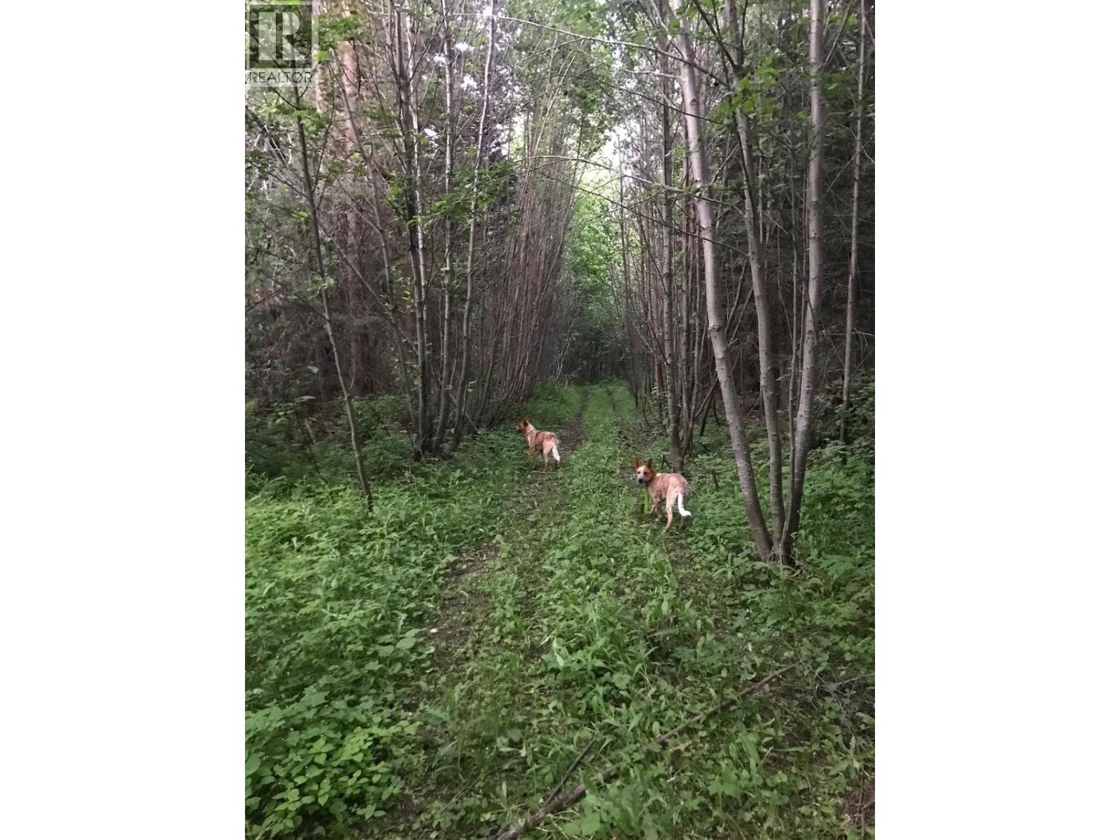 1475 COURTENAY BROWN Road, Rock Creek