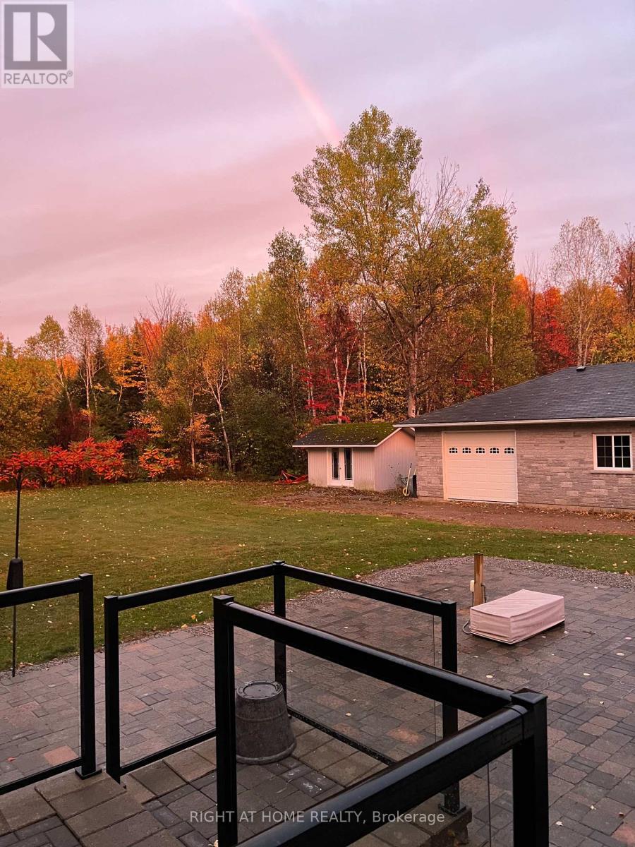 Beautiful Fall Colours... Birders Heaven!