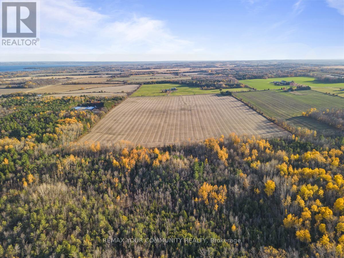 1703 INNISFIL BEACH ROAD - 4