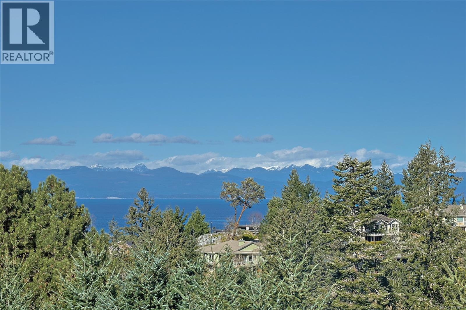 3554 COLLINGWOOD DR - 5