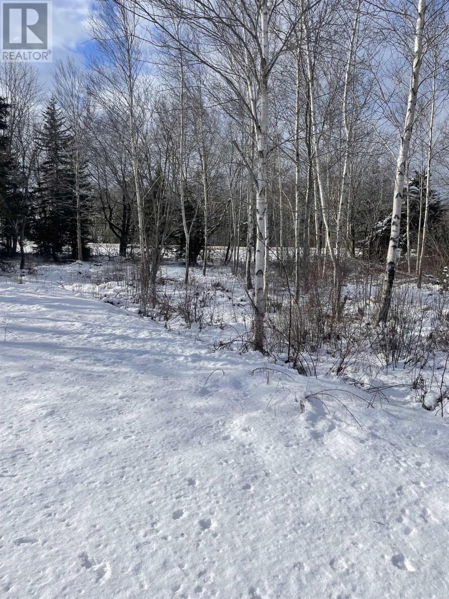 Property 4 of 18 of 847 Patrice Road