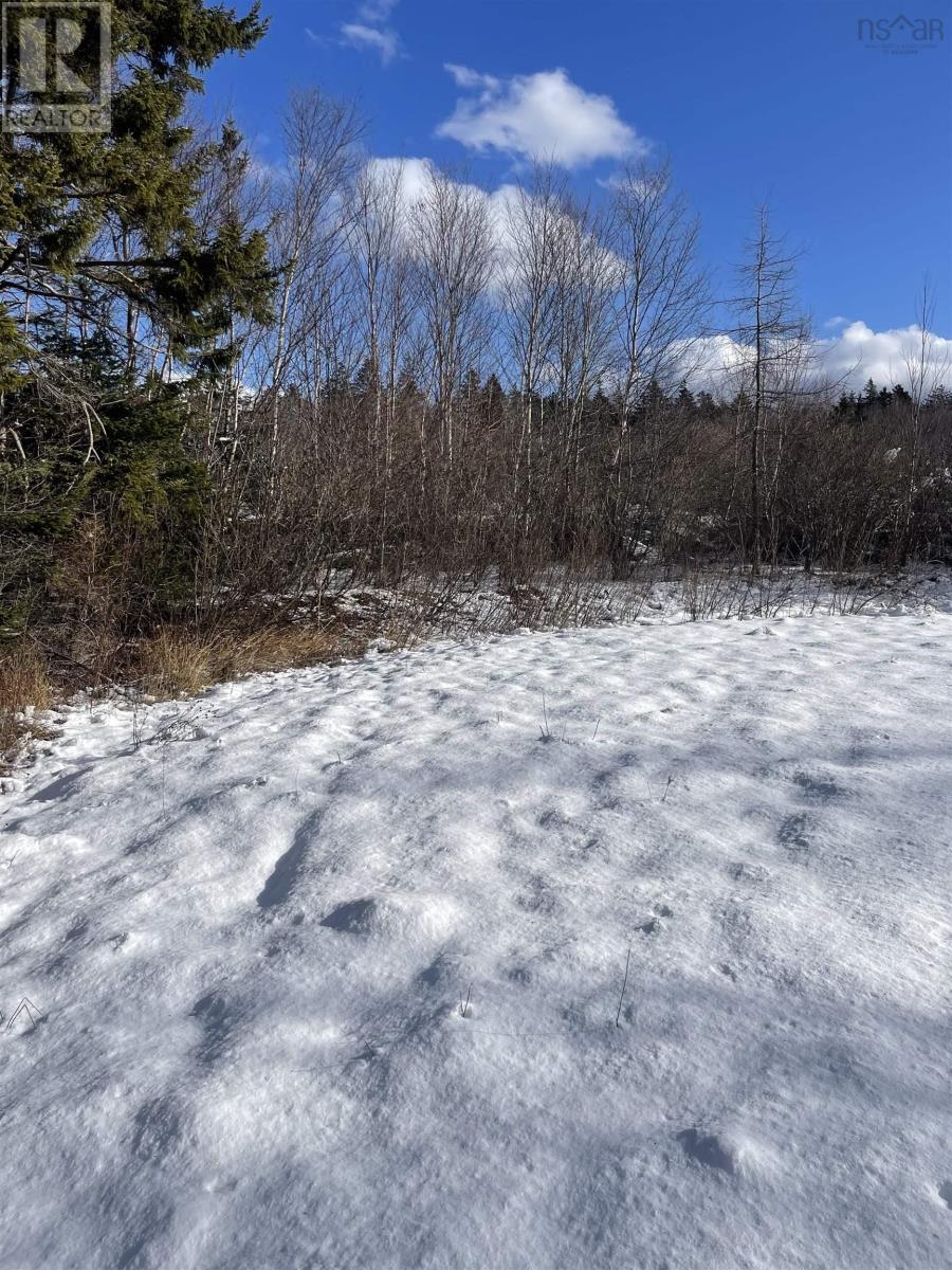 Property 14 of 18 of 847 Patrice Road