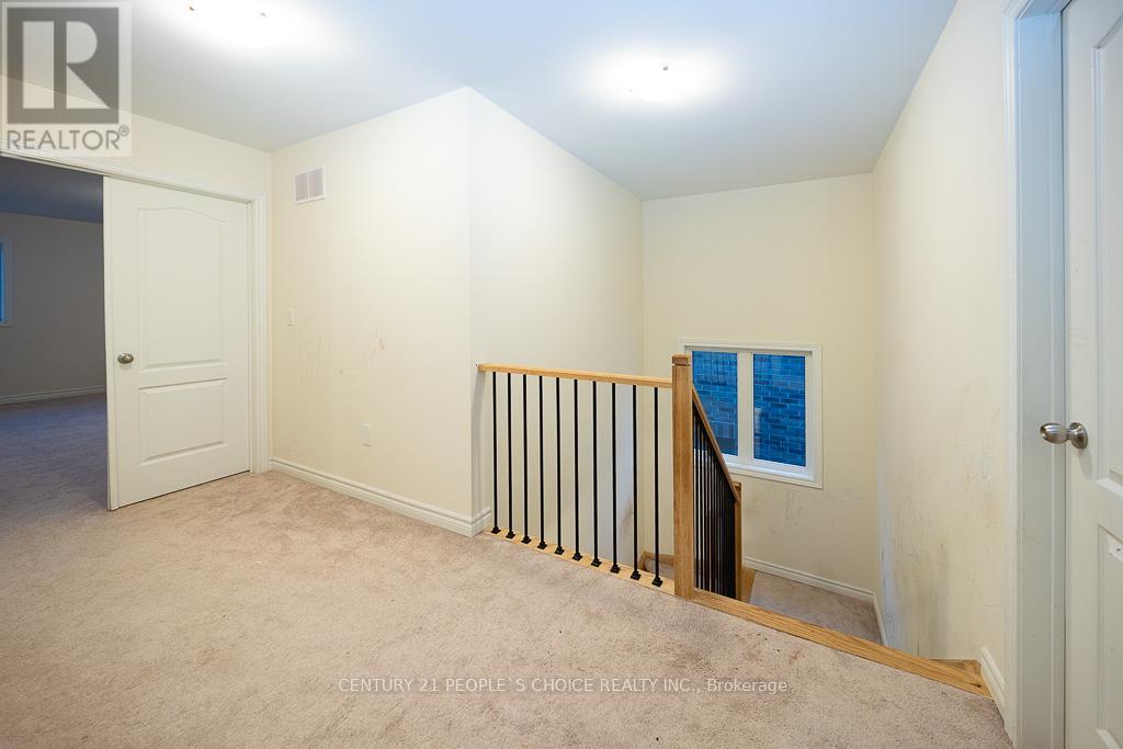 83 ROBIN TRAIL - 8