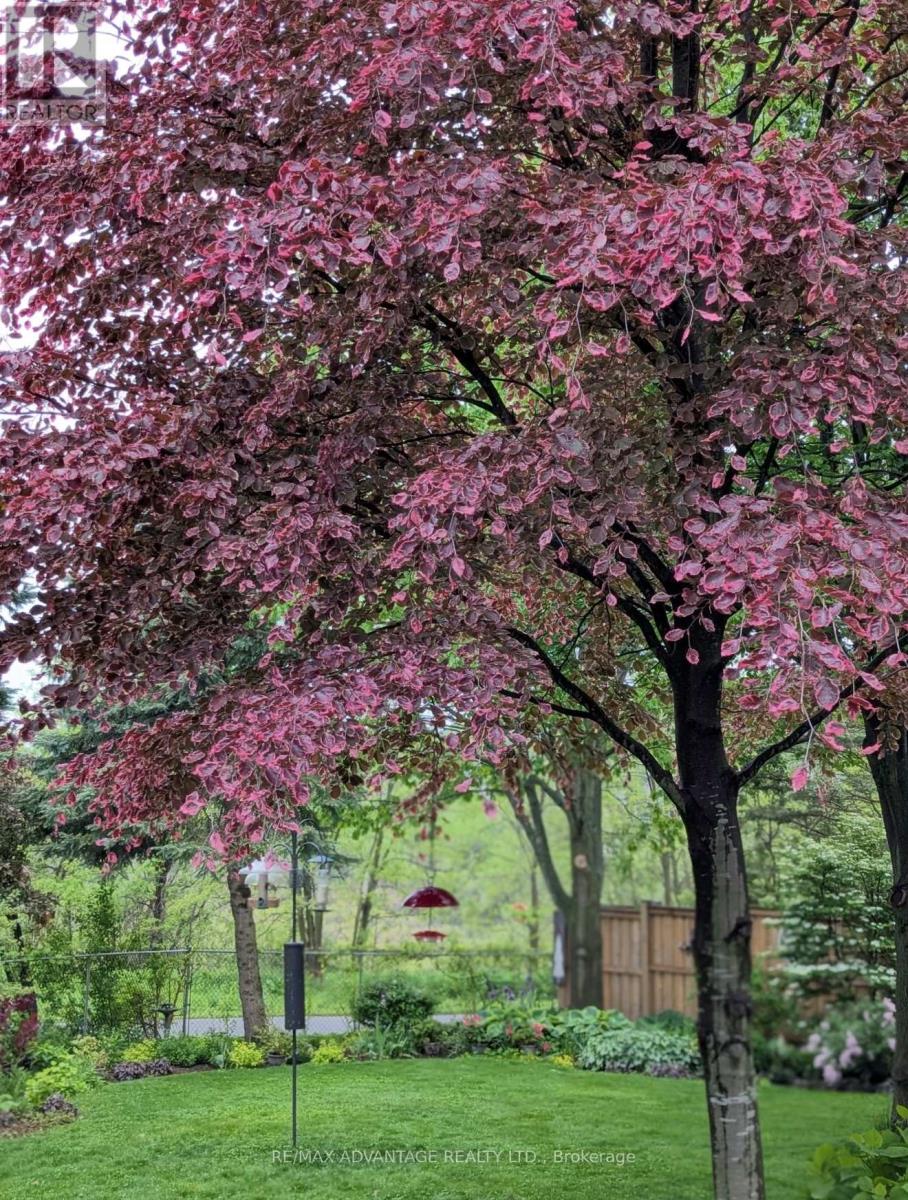 993 GABOR STREET Property Photo