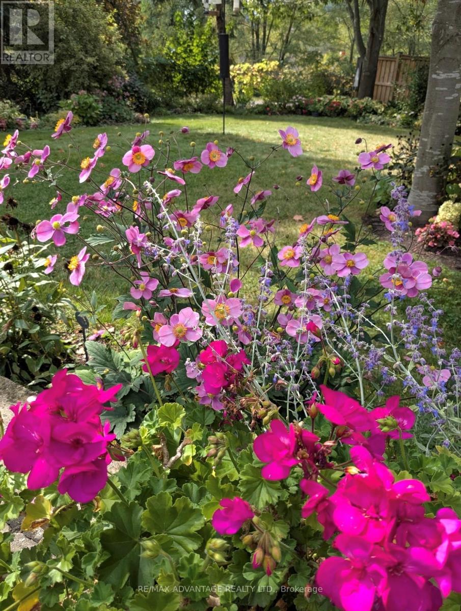 993 GABOR STREET Property Photo