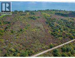V/l Cooper Road, Pelee Island, ON N0R1A0 Photo 8