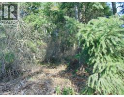 Mcbride Road Lot# 23, Blind Bay, BC V0E1H1 Photo 11