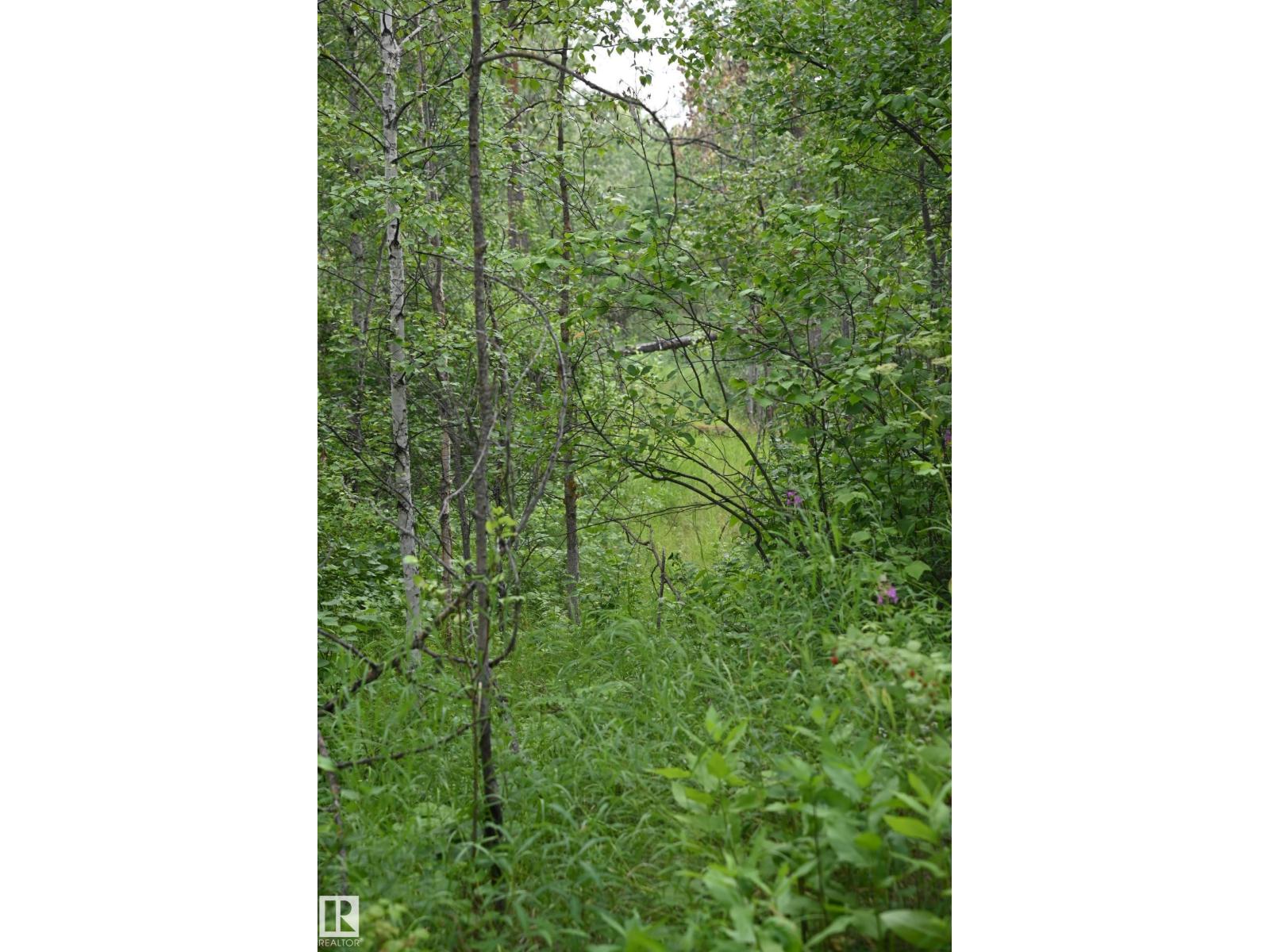 51123 RGE ROAD 222, Rural Strathcona County