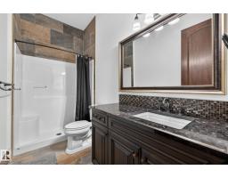 53524 Range Road 263a, Rural Sturgeon County, AB T8T1C8 Photo 52