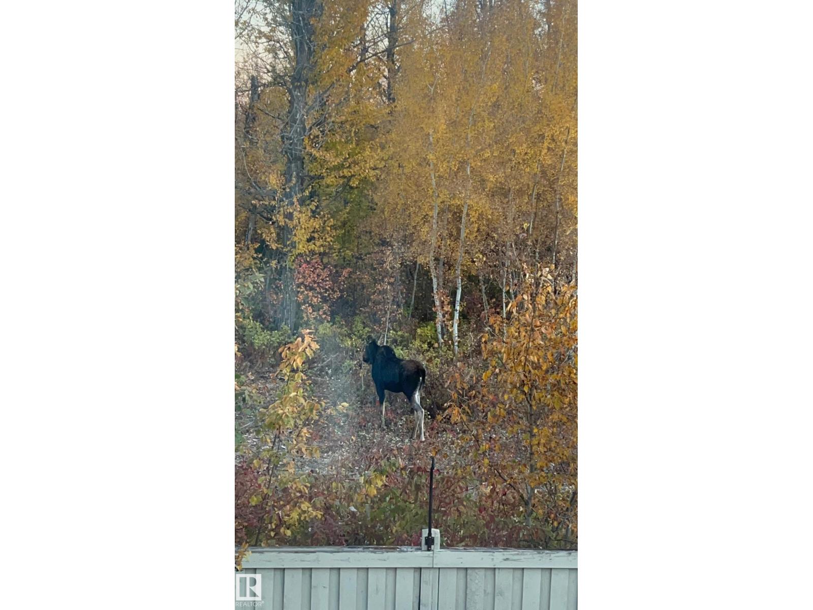 26 EDGEWATER TERR N, St. Albert