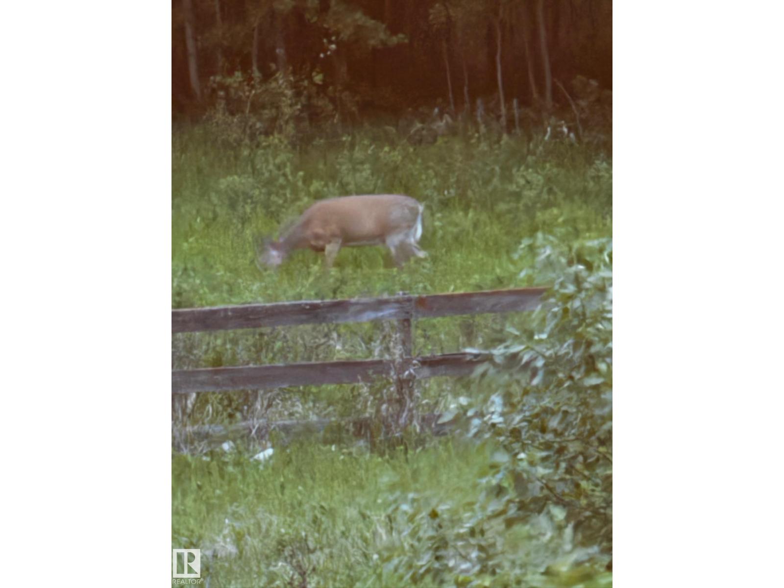 26 EDGEWATER TERR N, St. Albert