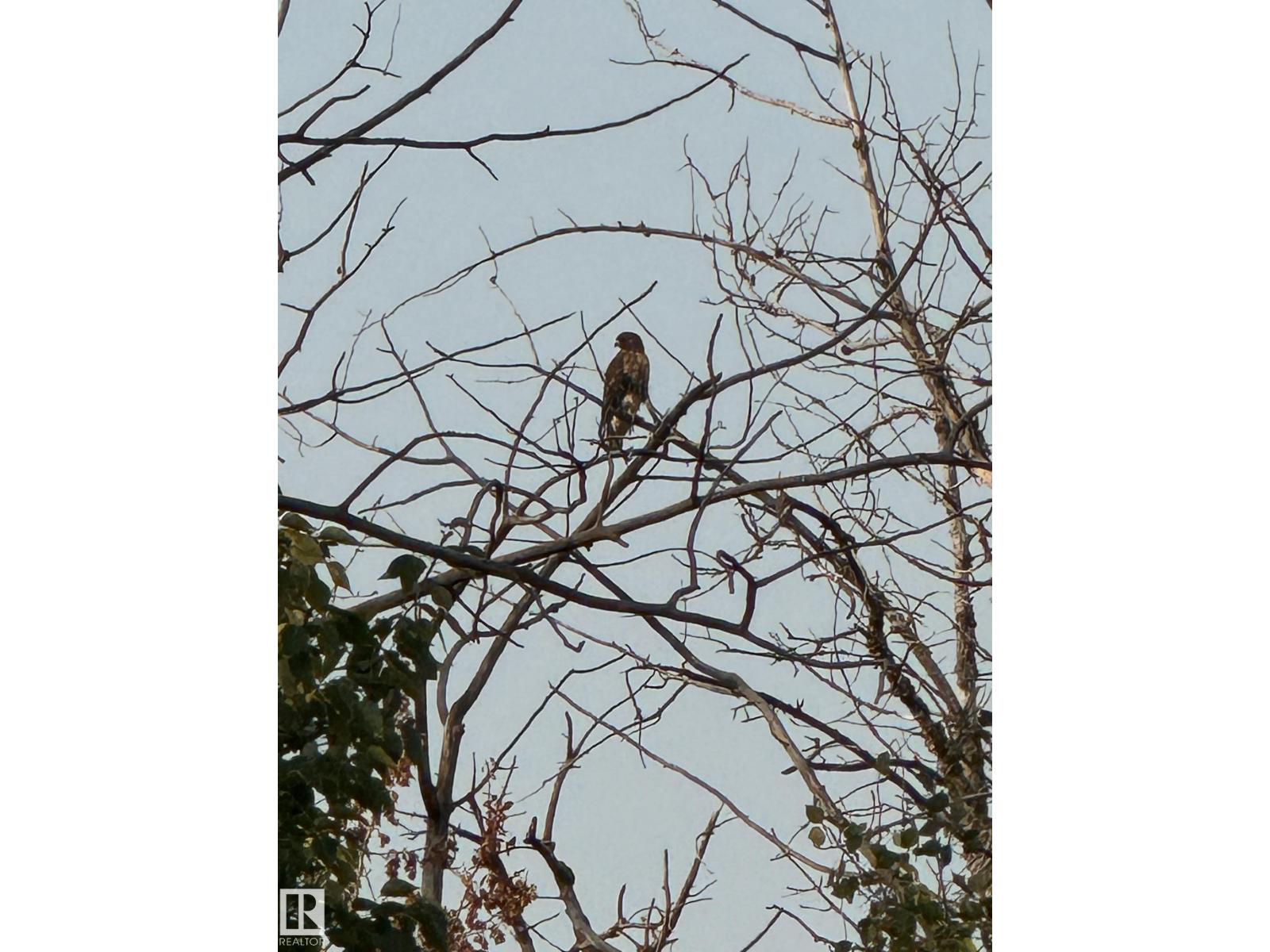 26 EDGEWATER TERR N, St. Albert