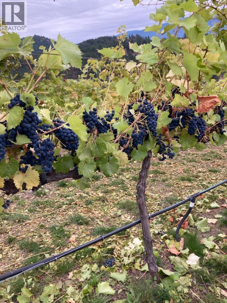 PANAROMA DRIVE LOT# LOT B - 9