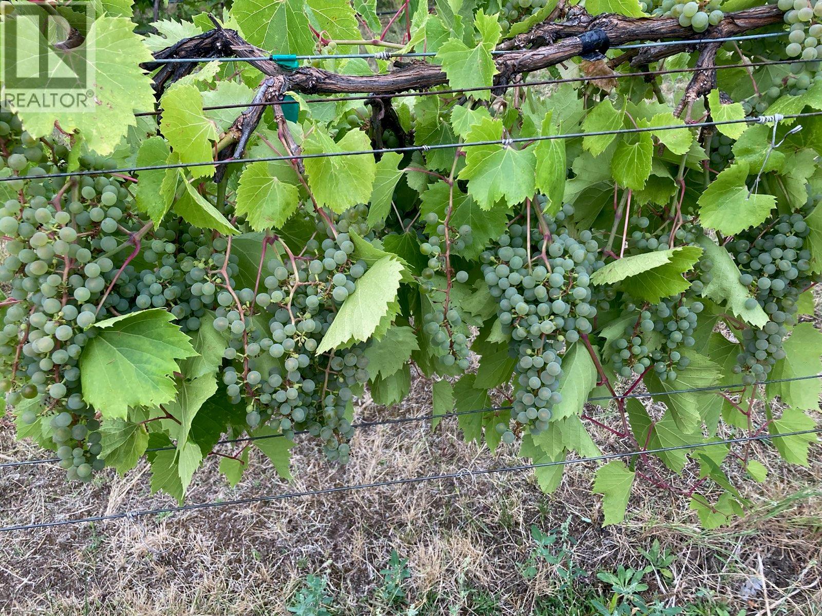 PANAROMA DRIVE LOT# LOT B - 10