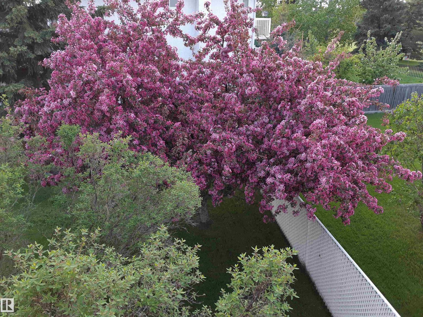 #1 COLONIAL CL, Beaumont