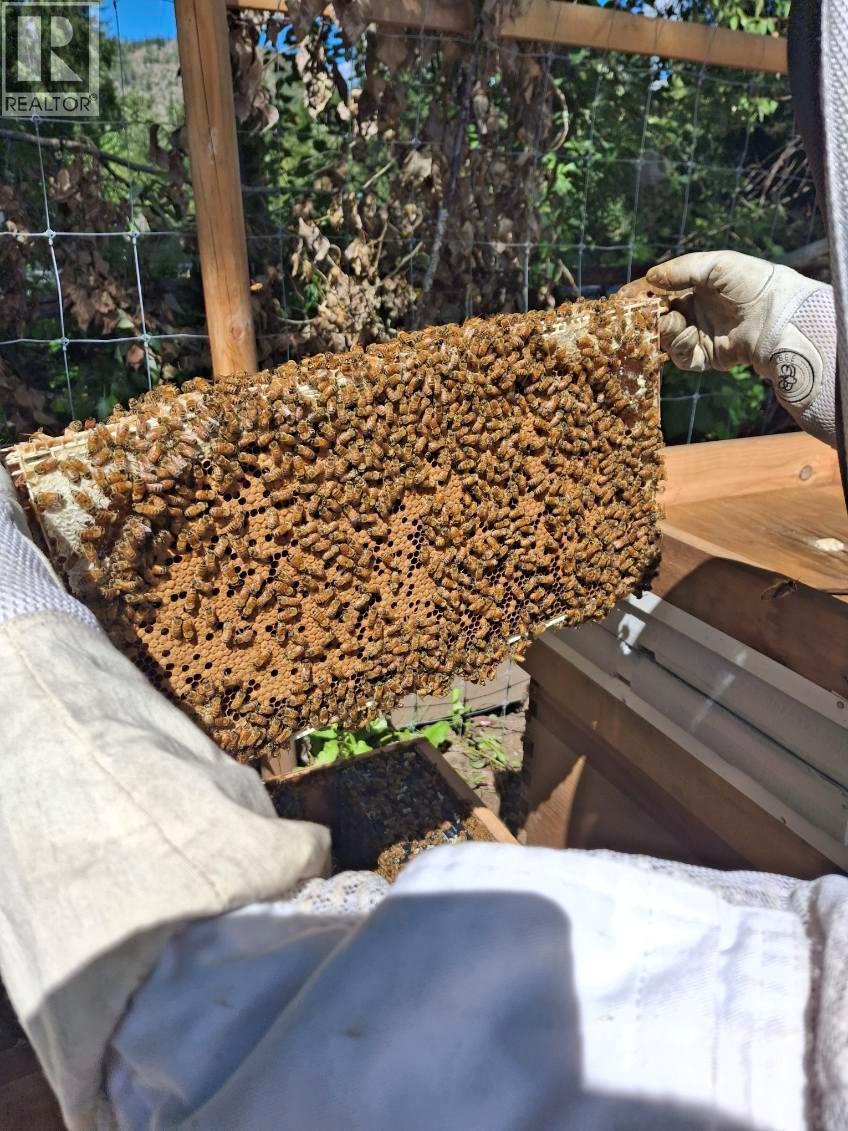 4229 CASINO ROAD - 48