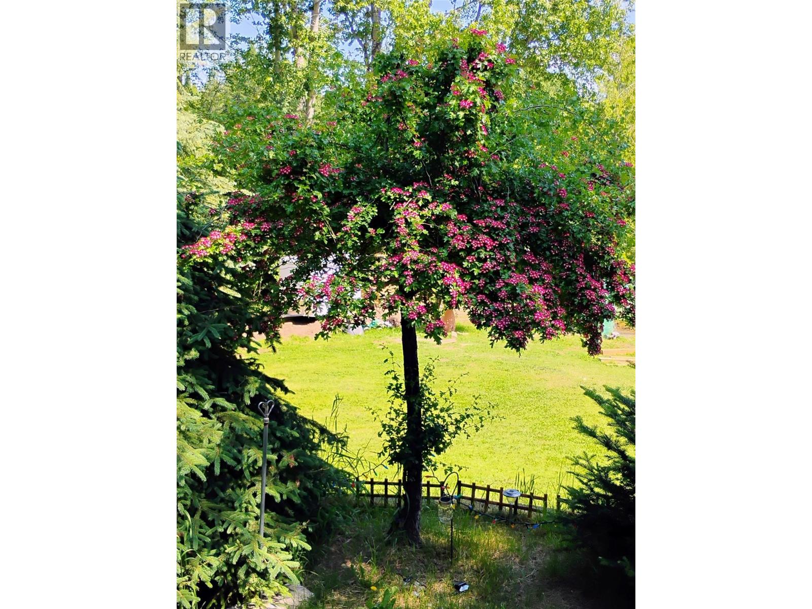 4229 CASINO ROAD - 46