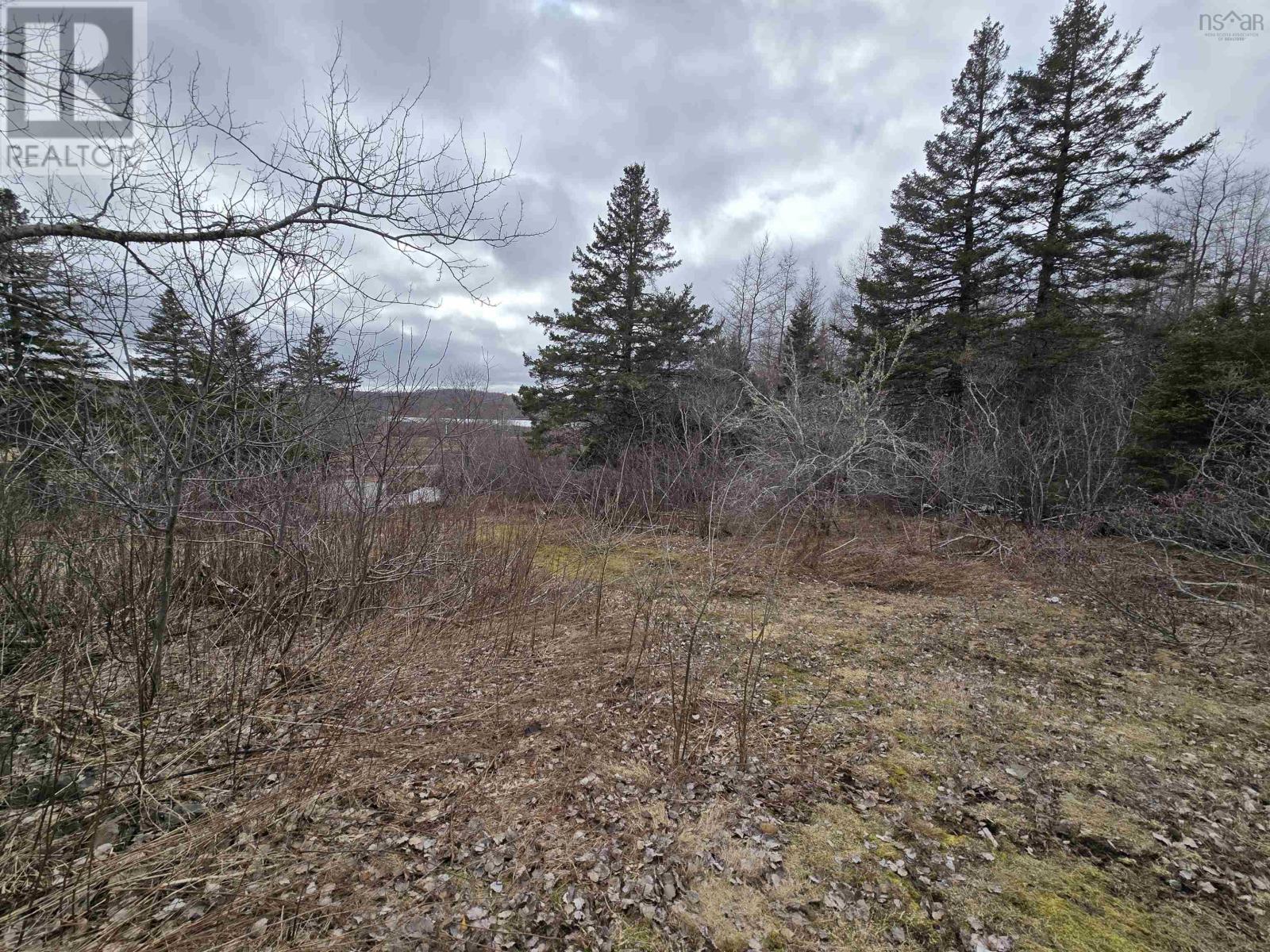 Property 28 of 37 of 18540 Country Harbour  Hwy 316 Highway