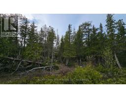 Lt 255 Pedwell Pt. Drive, Northern Bruce Peninsula, ON N0H2R0 Photo 10