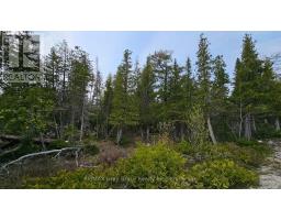 Lt 255 Pedwell Pt. Drive, Northern Bruce Peninsula, ON N0H2R0 Photo 11