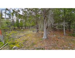 Lt 255 Pedwell Pt. Drive, Northern Bruce Peninsula, ON N0H2R0 Photo 12