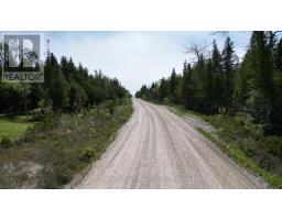 Lt 255 Pedwell Pt. Drive, Northern Bruce Peninsula, ON N0H2R0 Photo 14