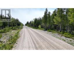 Lt 255 Pedwell Pt. Drive, Northern Bruce Peninsula, ON N0H2R0 Photo 15