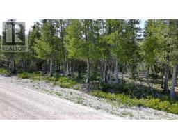 Lt 255 Pedwell Pt. Drive, Northern Bruce Peninsula, ON N0H2R0 Photo 16