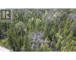 Lt 255 Pedwell Pt. Drive, Northern Bruce Peninsula, ON N0H2R0 Photo 18