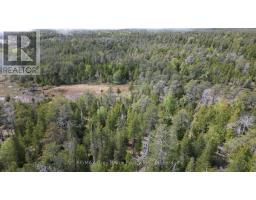 Lt 255 Pedwell Pt. Drive, Northern Bruce Peninsula, ON N0H2R0 Photo 21