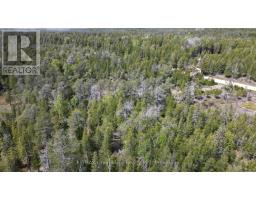 Lt 255 Pedwell Pt. Drive, Northern Bruce Peninsula, ON N0H2R0 Photo 22