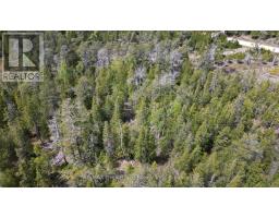 Lt 255 Pedwell Pt. Drive, Northern Bruce Peninsula, ON N0H2R0 Photo 23